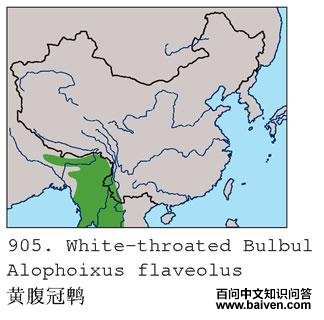 �Ƹ����ǵĵ����ֲ�ͼ