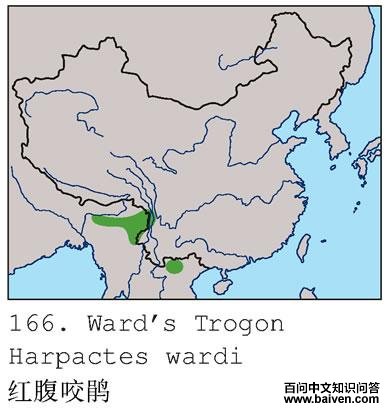 �츹ҧ��ĵ����ֲ�ͼ