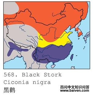 ���ٵĵ����ֲ�ͼ