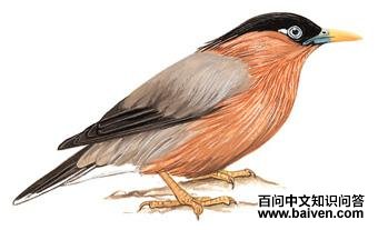 �ڹ�����ͼ��