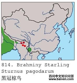 �ڹ����ĵ����ֲ�ͼ