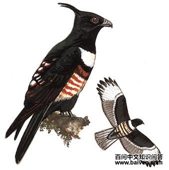 �ڹھ�����ͼ��