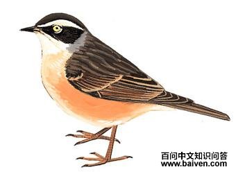 �����ҵ�ͼ��