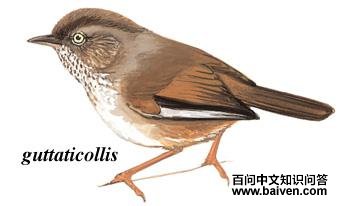 ��ͷȸ�̵�ͼ��