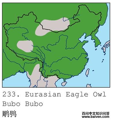 ���^�ĵ����ֲ�ͼ