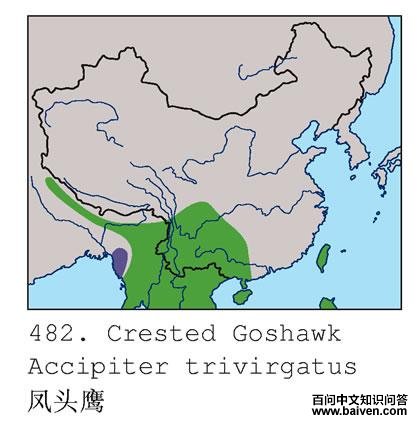 ��ͷӥ�ĵ����ֲ�ͼ