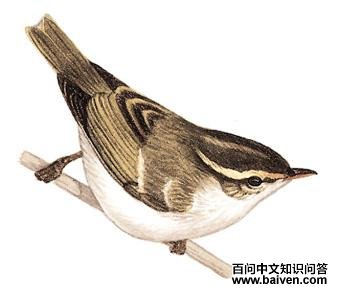 ��ü��ݺ��ͼ��