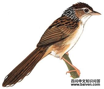 ���ݺ��ͼ��