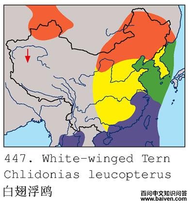 �׳ḡŸ�ĵ����ֲ�ͼ