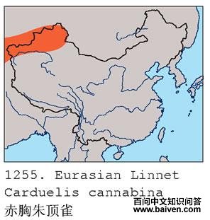 �����춥ȸ�ĵ����ֲ�ͼ