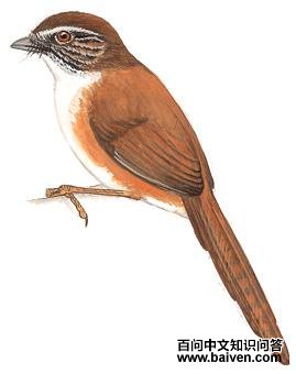 ������ȸ��ͼ��