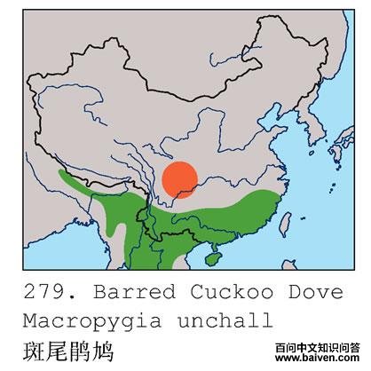 ��β���ĵ����ֲ�ͼ