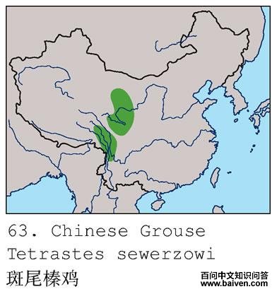 ��β黼��ĵ����ֲ�ͼ