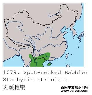 �߾����̵ĵ����ֲ�ͼ