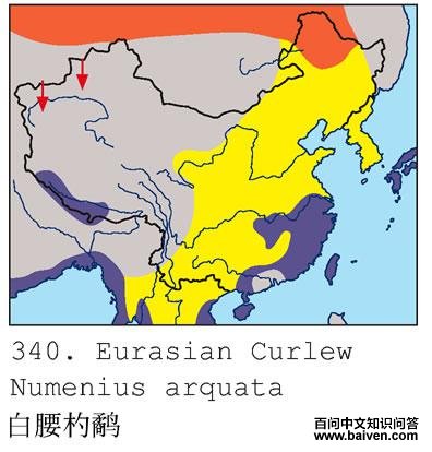 ������ֵĵ����ֲ�ͼ