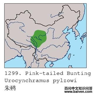 ���c�ĵ����ֲ�ͼ