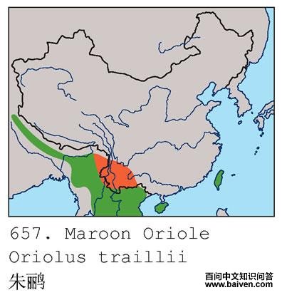 ���ĵ����ֲ�ͼ