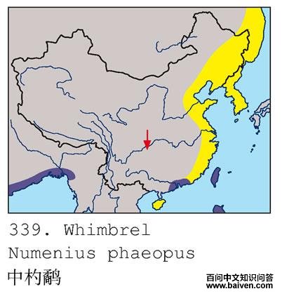 ����ֵĵ����ֲ�ͼ