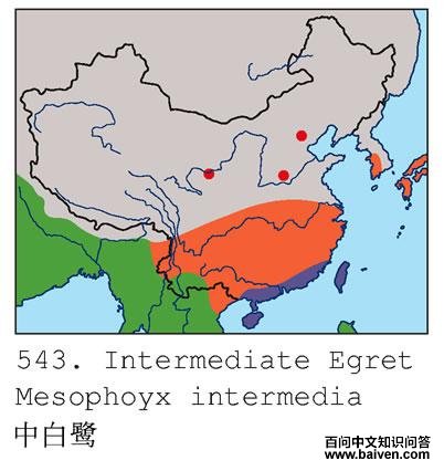 �а��صĵ����ֲ�ͼ