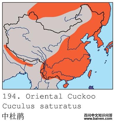 �жž�ĵ����ֲ�ͼ