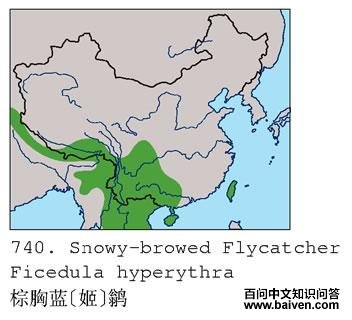 ������[��]�l�ĵ����ֲ�ͼ