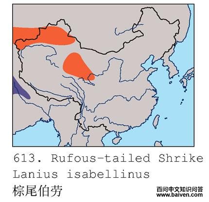 ��β���͵ĵ����ֲ�ͼ