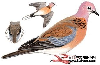 �ذ���ͼ��