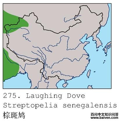 �ذ��ĵ����ֲ�ͼ