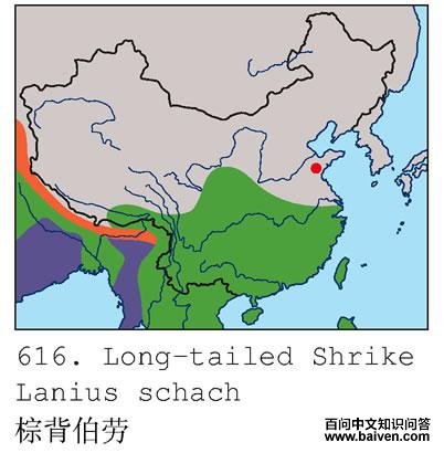 �ر����͵ĵ����ֲ�ͼ