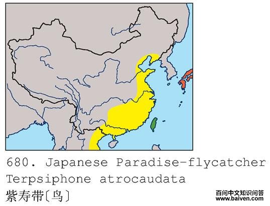 ���ٴ�[��]�ĵ����ֲ�ͼ