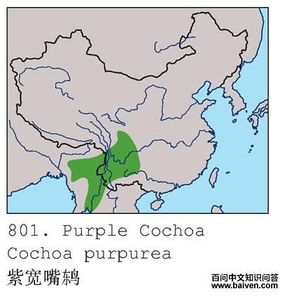 �Ͽ����ĵ����ֲ�ͼ