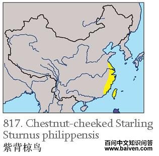 �ϱ����ĵ����ֲ�ͼ