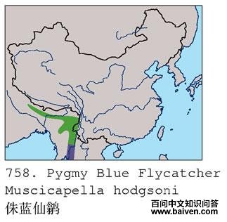 ٪�����l�ĵ����ֲ�ͼ