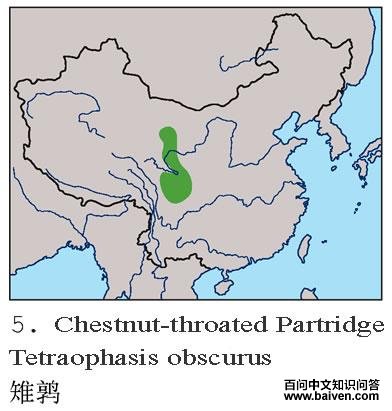 ���ȵĵ����ֲ�ͼ