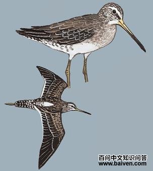 �����ֵ�ͼ��