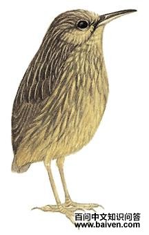 �������̵�ͼ��