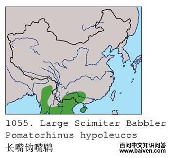 ���칳���̵ĵ����ֲ�ͼ