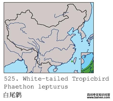 ��β�s�ĵ����ֲ�ͼ