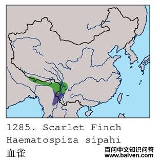 Ѫȸ�ĵ����ֲ�ͼ