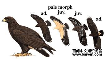 �ڵ��ͼ��