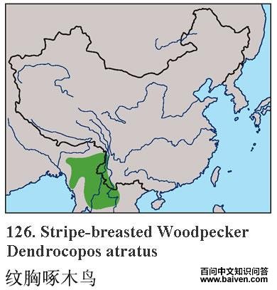 ������ľ��ĵ����ֲ�ͼ