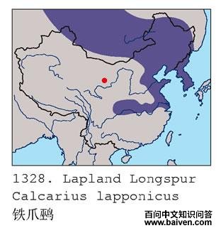 ��צ�c�ĵ����ֲ�ͼ