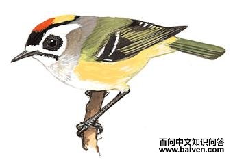 ̨����յ�ͼ��