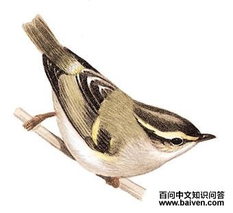 �Ĵ���ݺ��ͼ��