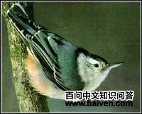 �����������[��ͼƬ