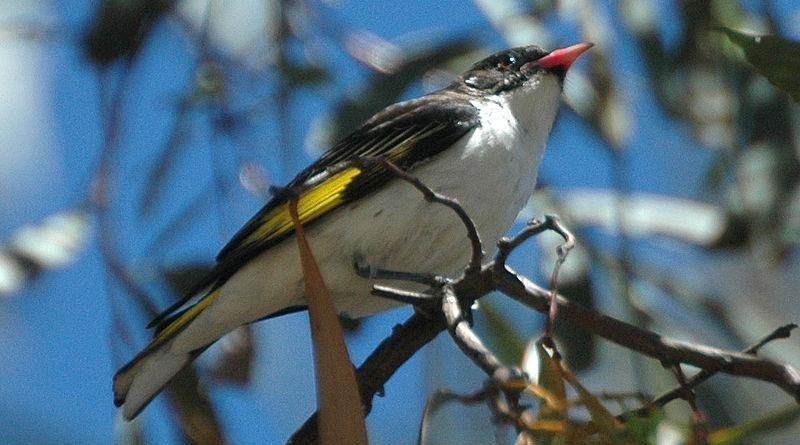 ���������ͼƬ