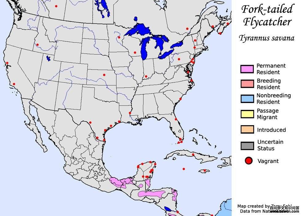 Fork-tailed Flycatcher - North American Range Map