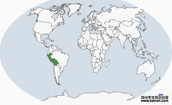 ��ɫ����