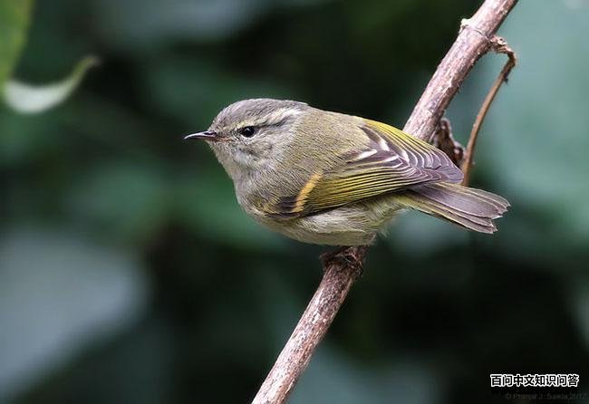 �Ȱ߳���ݺ������ӡ�ȣ�