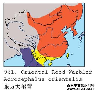 ������έݺ